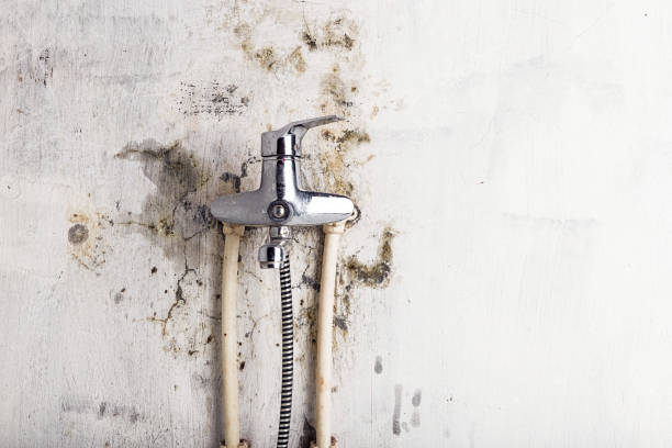 Best Mold Removal Near Me  in Malibu, CA