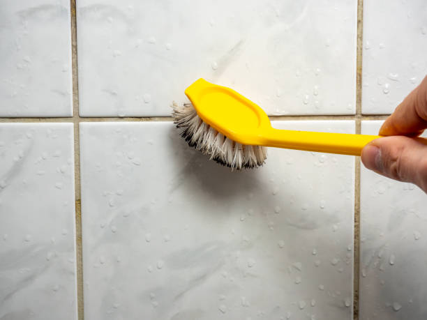 Best Mold Remediation Services  in Malibu, CA