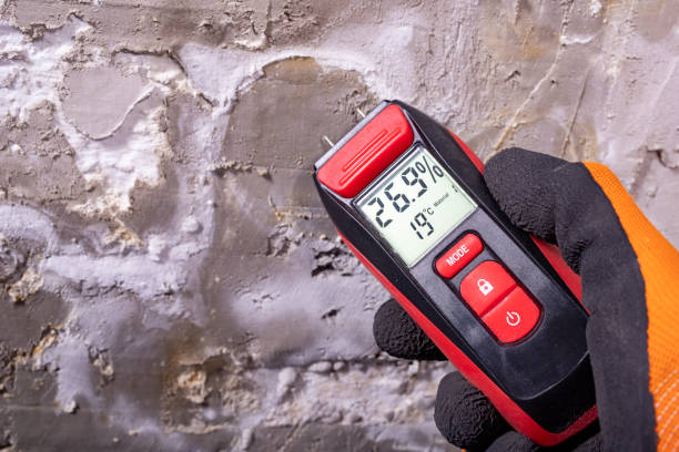 Malibu, CA Mold Removal Company