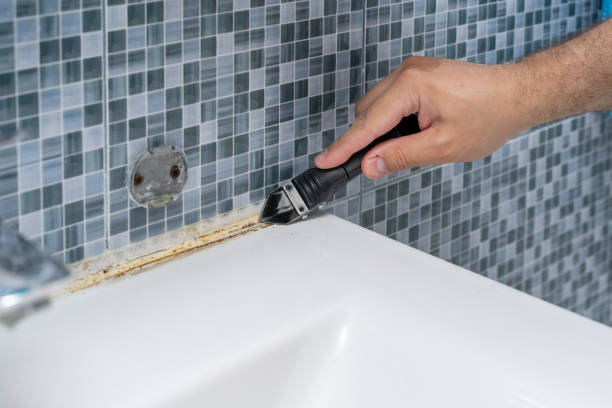 Best Home Mold Removal  in Malibu, CA