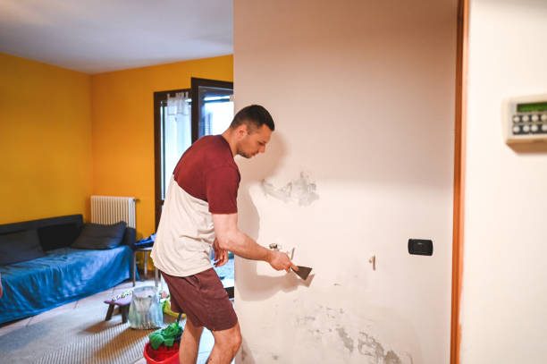 Best Same-Day Mold Removal  in Malibu, CA