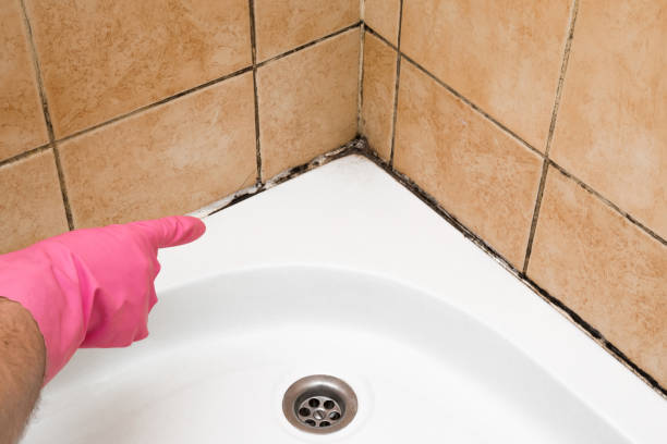 Certified Mold Removal in Malibu, CA